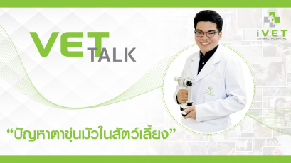  "ปัญหาตาขุ่นมัวในสัตว์เลี้ยง"